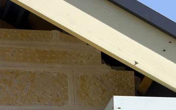 soffit repair Worth Abbey